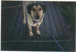 Personal Grave Photo